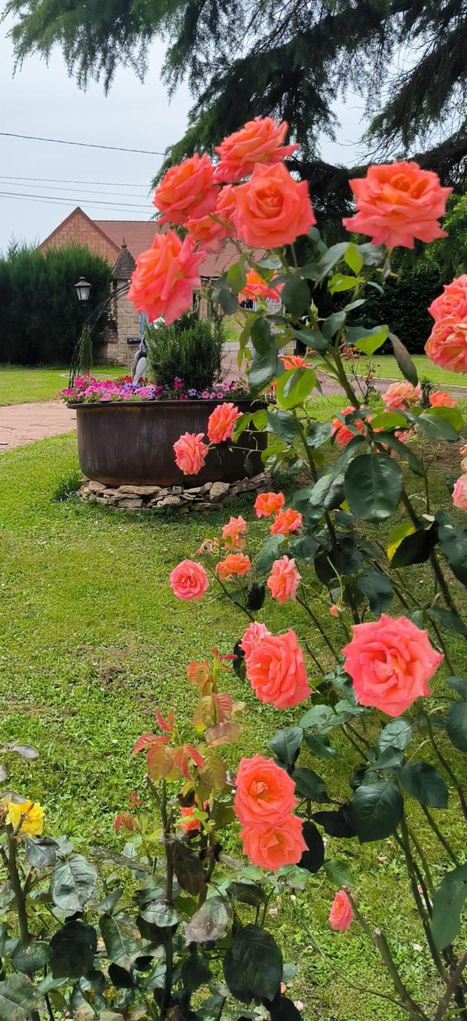 La Fruitiere Apartman Chaudenay Kültér fotó