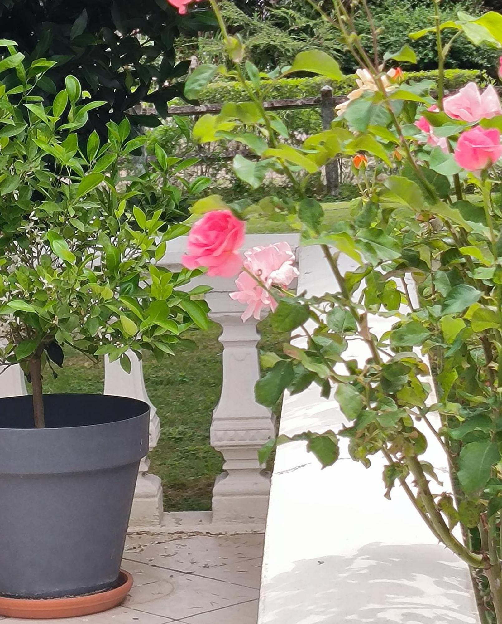 La Fruitiere Apartman Chaudenay Kültér fotó